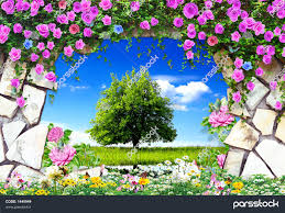 ناشناس لار جون